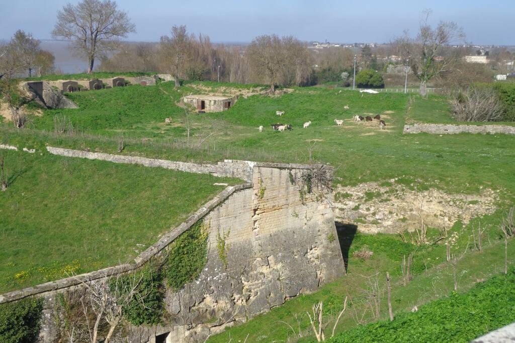 Вилла Grange La Bigarderie Блеи-э-Сент-Люс Экстерьер фото